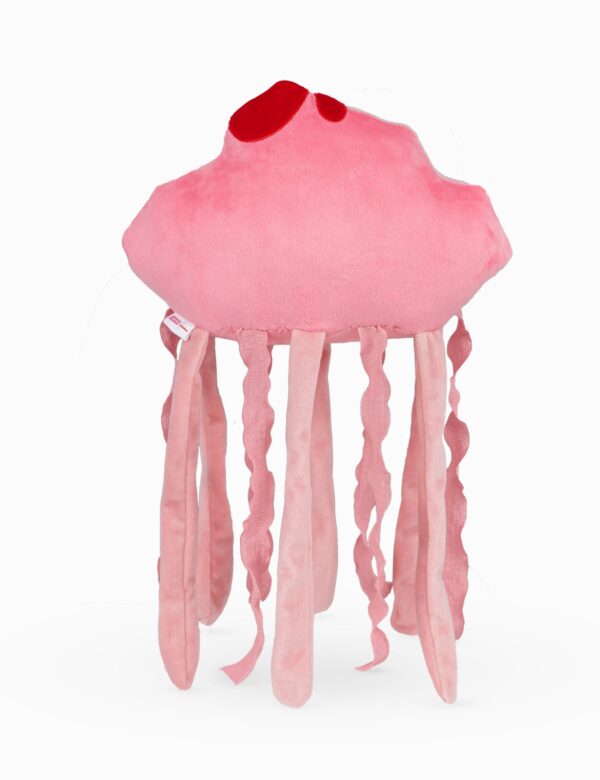 SB Jellyfish Rocky Back