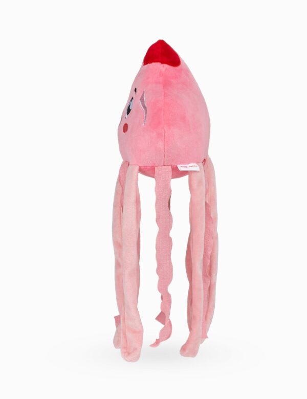 SB Jellyfish Rocky Side